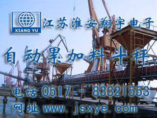 自動料斗秤,自動累計(jì)料斗秤,全自動料斗秤,自動料斗秤廠家,全自動累計(jì)料斗秤