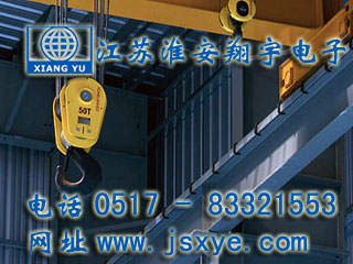 起重限制保護(hù)系統(tǒng)廠家江蘇淮安翔宇電子測(cè)控自動(dòng)化起重機(jī)超載限制器 起重超載限制器保護(hù)系統(tǒng)安全可靠堅(jiān)固耐用 更多起重機(jī)起重限制器就在www.622444.cn 電話0517-83321553