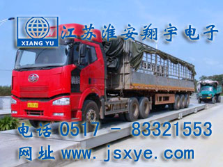汽車(chē)衡_電子汽車(chē)衡_XYTS